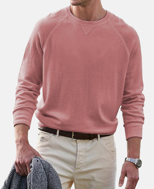 Basic Einfarbig Rundhalsausschnitt Langärmliges Sweatshirt