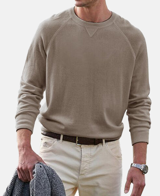 Basic Einfarbig Rundhalsausschnitt Langärmliges Sweatshirt