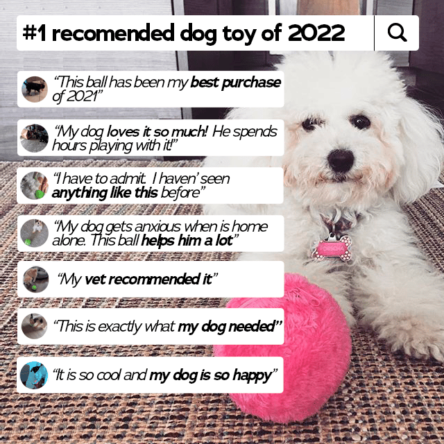 Anti-Angst Automatischer Bewegungsball für Hunde und Katzenspielzeuge