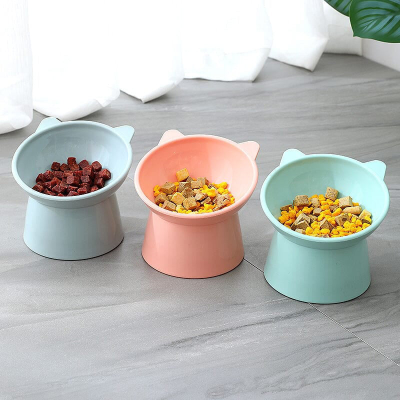 💥KAUFEN SIE 1 GET 1 GRATIS 💥Ergonomischer Katzennapf