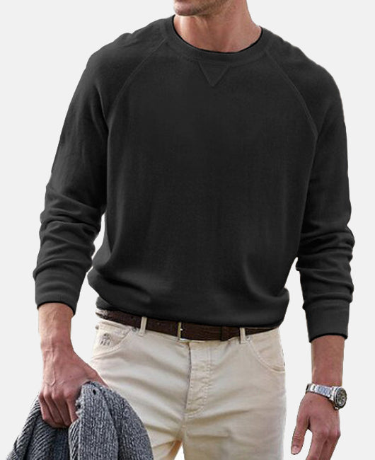 Basic Einfarbig Rundhalsausschnitt Langärmliges Sweatshirt