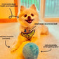 Anti-Angst Automatischer Bewegungsball für Hunde und Katzenspielzeuge